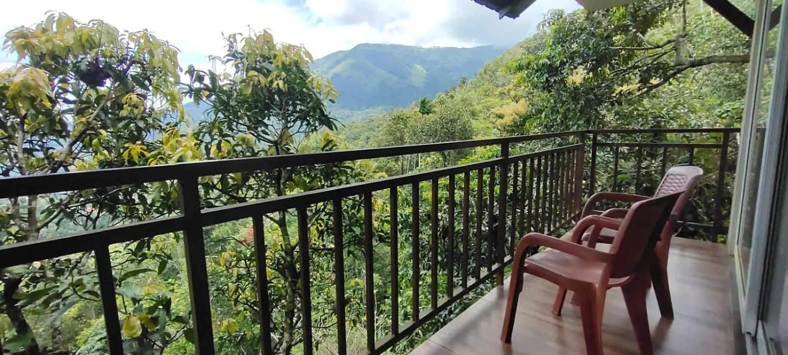 **** Hotel The Lake View Munnar Inde